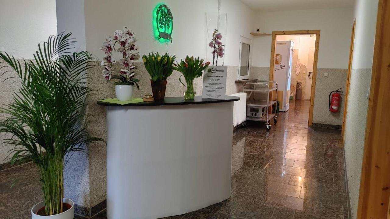 Pension Zum Lindenwald Colbitz المظهر الخارجي الصورة